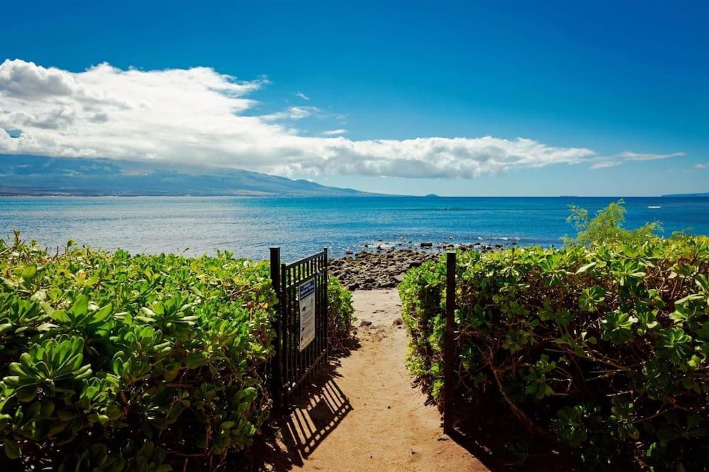 Stunning Maui Direct Ocean Front On The Beach, Walk To Beach From Condo, Watch Turtles, Whales, Ac In All Rooms Ocean View Pool And Spa Wailuku Экстерьер фото
